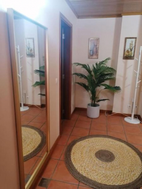 Praia de Mira - Apartamento T2
